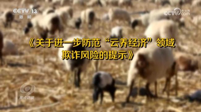 央視曝光云養(yǎng)殖騙局黑幕 高額返利陷阱