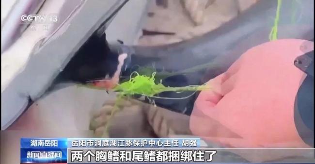 央視曝洞庭湖禁捕區(qū)變垂釣場(chǎng) 違規(guī)釣魚屢禁不止