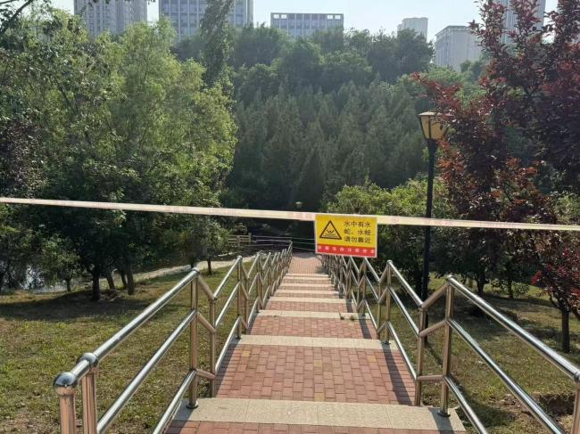 北京一公園部分綠地被淹 排水不暢致水位上漲