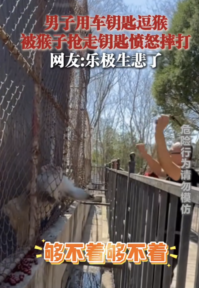 男子用車鑰匙逗猴被猴搶走