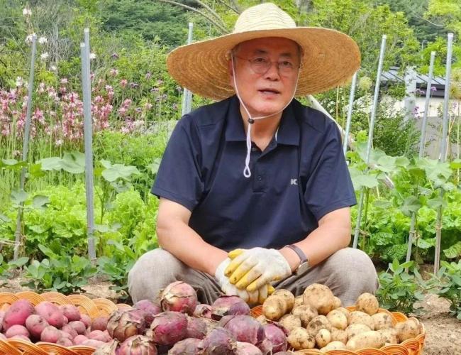 韩国总统大选有多魔幻 前任复仇者联盟现场