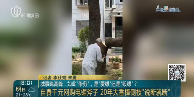 老人鋸斷20年香樟樹枝干：拿我怎樣 私自修剪引發(fā)爭議