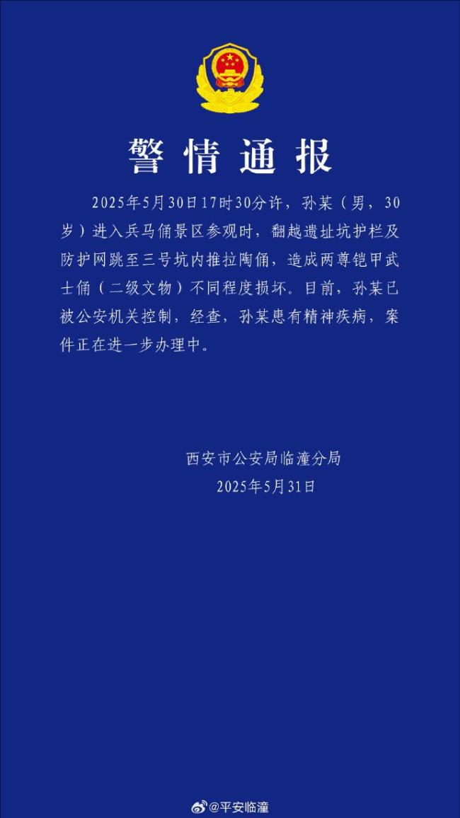 男子造成兩尊鎧甲武士俑損壞