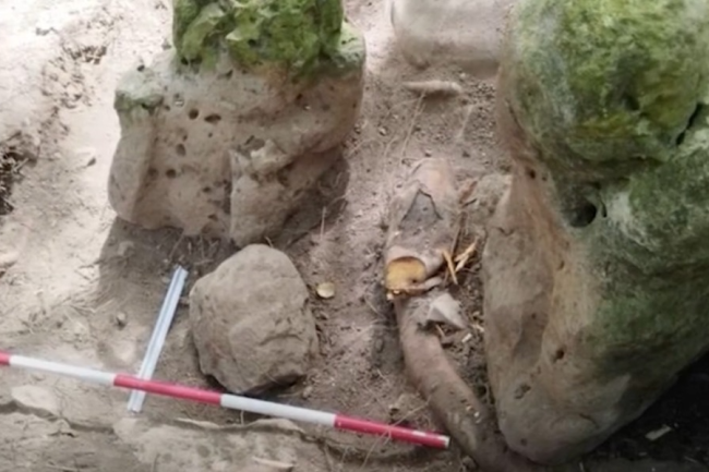 危地馬拉發(fā)現(xiàn)2800多年前瑪雅城市遺址