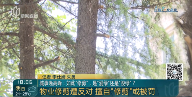8旬老人砍掉小區(qū)20年香樟樹 私自修剪引發(fā)爭(zhēng)議