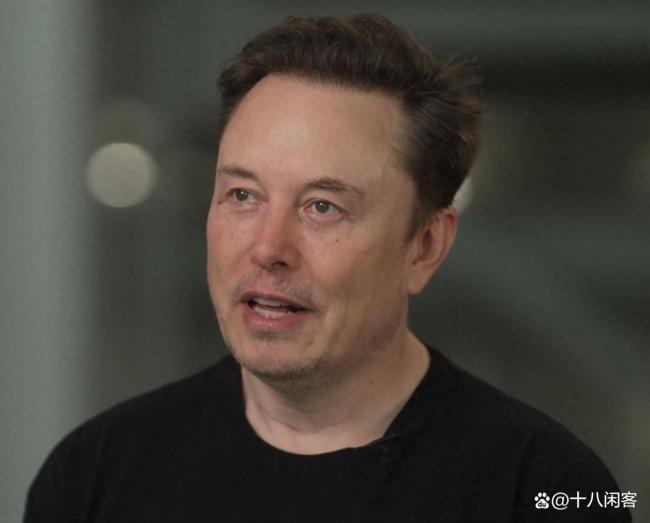 馬斯克跨界玩政治是被當(dāng)槍使了嗎 改革藍(lán)圖成泡影