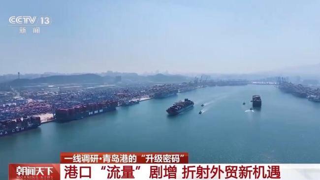 从4小时到20分钟 青岛港科技升级货物“秒通关”