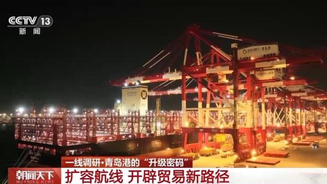 从4小时到20分钟 青岛港科技升级货物“秒通关”