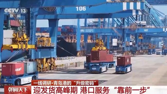 从4小时到20分钟 青岛港科技升级货物“秒通关”