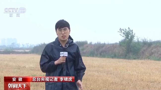 小麦“颗粒归仓”有了“最强大脑”