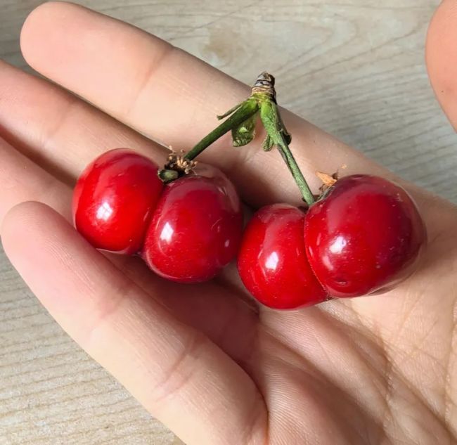 水果放成这样还能吃吗 如何辨别安全食用