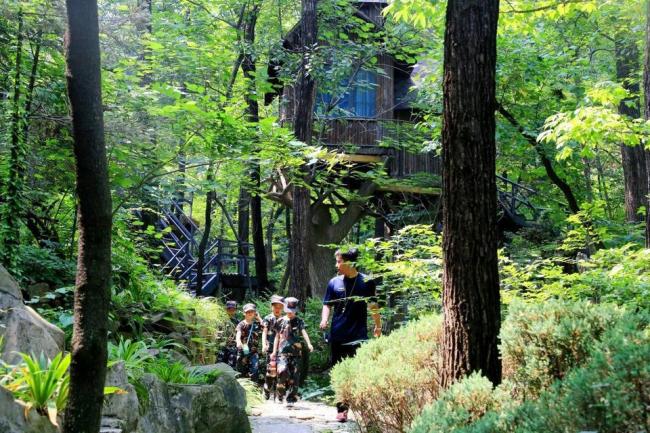 山東200家景區(qū)納客839.5萬(wàn)