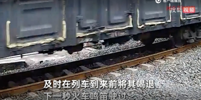 居民喝退橫穿鐵軌男子火車瞬間駛過(guò)