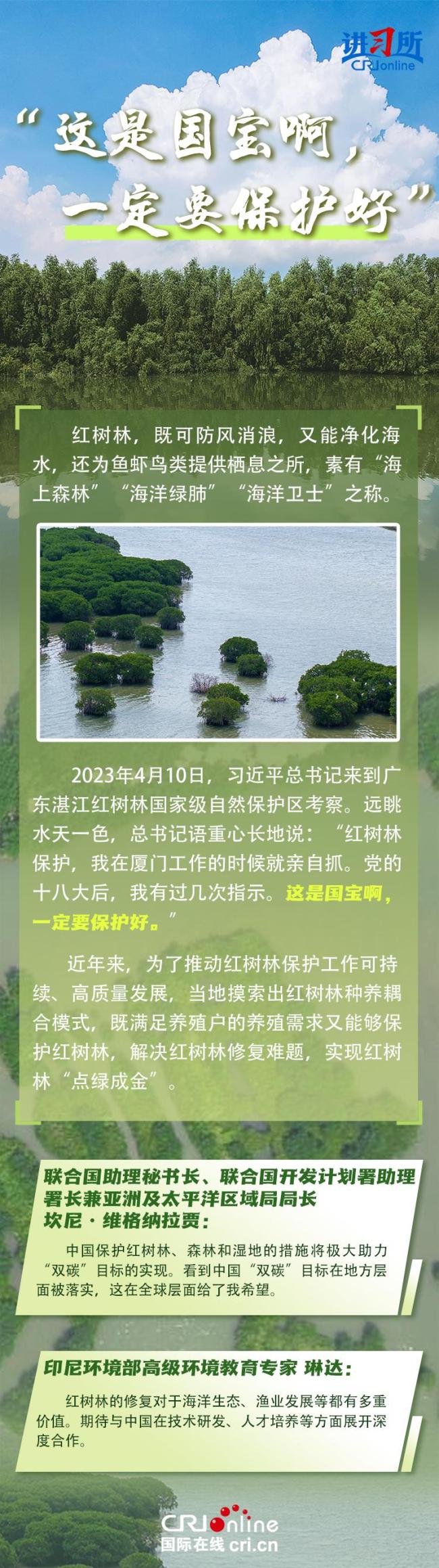 【講習(xí)所·中國(guó)與世界】“人不負(fù)青山，青山定不負(fù)人”