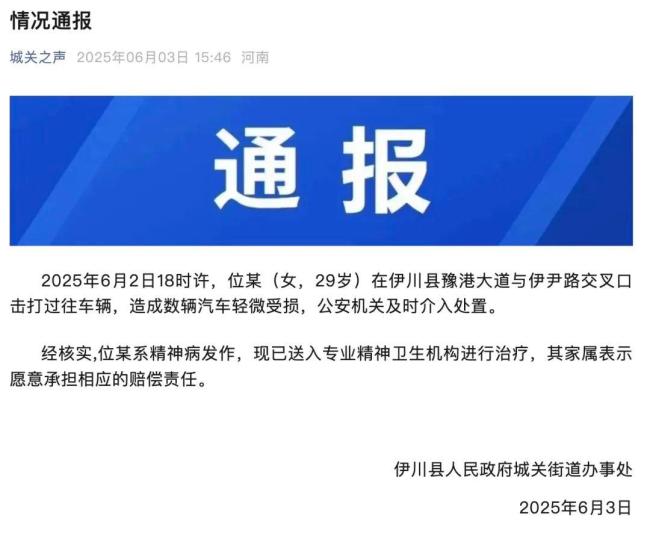 女子持械當街打砸多輛轎車