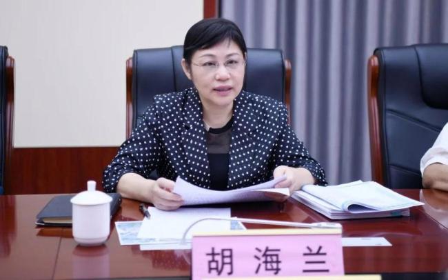 巡察組進駐期間 廳官胡海蘭任上被查