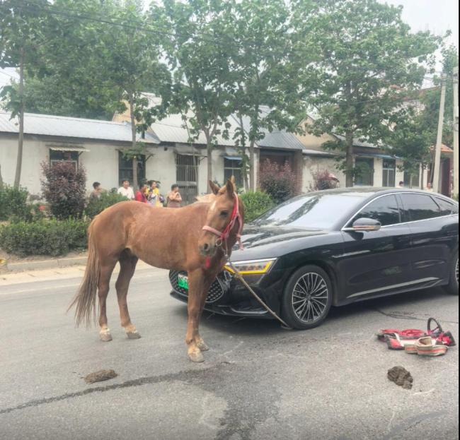 省道上車馬相撞算交通事故嗎 車主修車還被要求賠馬