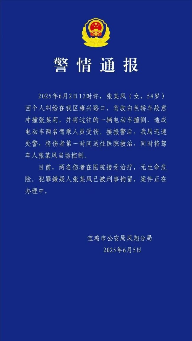 寶雞鳳翔駕車傷人書記被拘