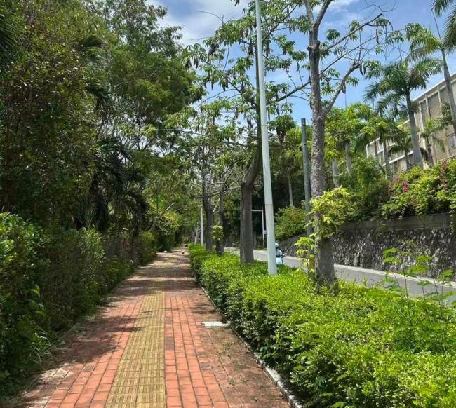 被蛇咬傷救治有多難 延誤救治引爭(zhēng)議