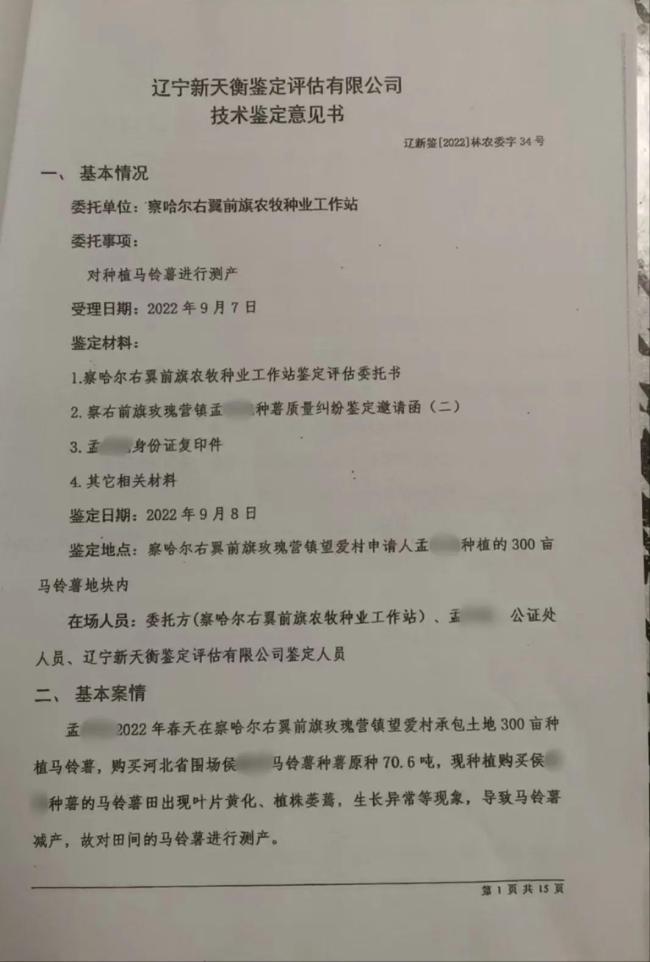 馬鈴薯毒種子害苦了農(nóng)民