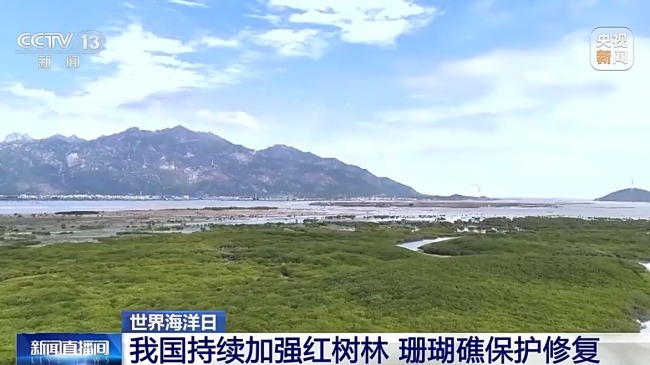 我國(guó)海洋能開發(fā)利用技術(shù)已邁入世界第一方陣