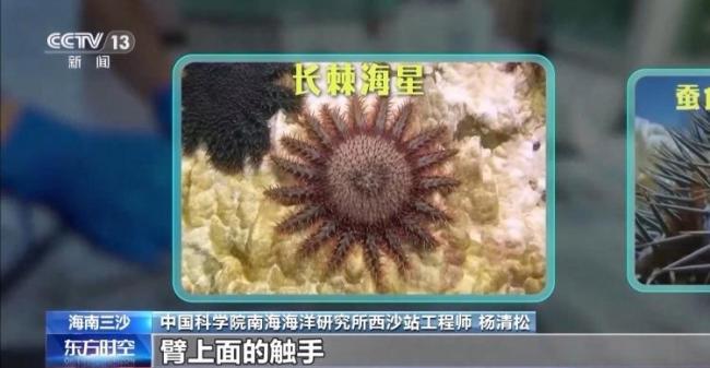 9图看海洋治理的中国方案 美丽海湾建设进展