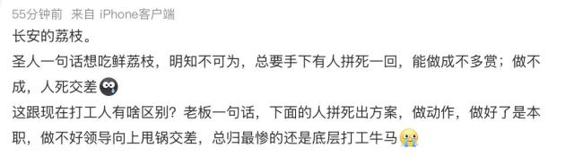 《长安的荔枝》激起打工人共鸣 职场牛马的反击