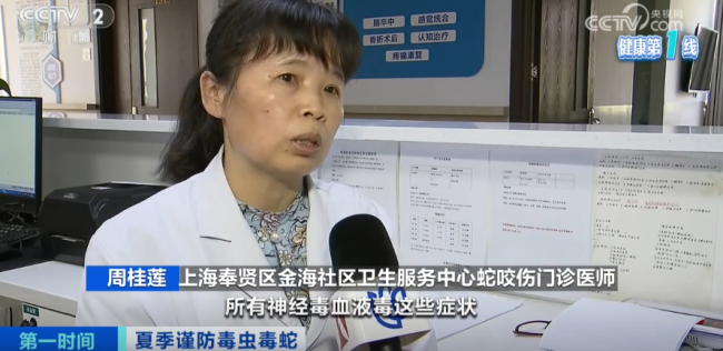 上海医院接诊蛇咬伤事件增多 如何辨别是否为毒蛇