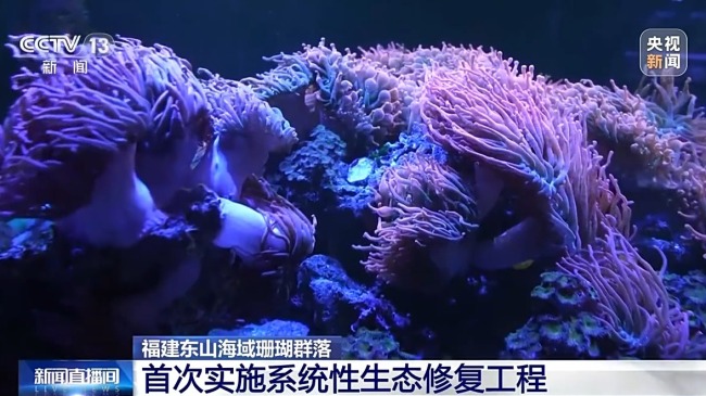 我國海洋能開發利用技術已邁入世界第一方陣