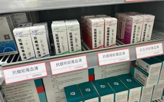 男子被银环蛇咬伤救治十多天化险为夷 抗蛇毒血清显神威