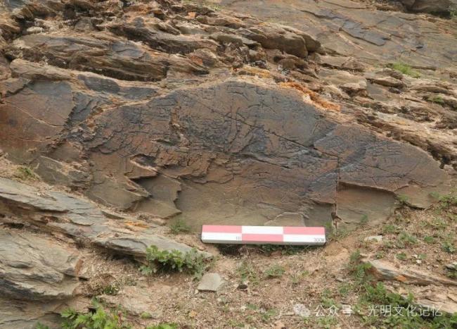 秦始皇遣使采药昆仑石刻遭学者质疑 真实性引发广泛讨论