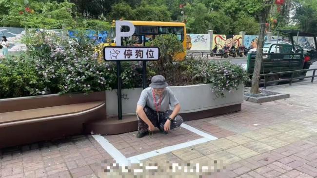 湖南一商业街现1平米停狗位 创意打卡点引发热议