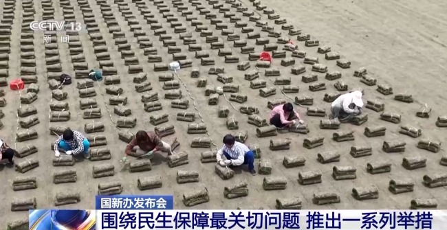 聚焦就業(yè)教育等民生保障最關(guān)鍵問題 政策合力解民憂