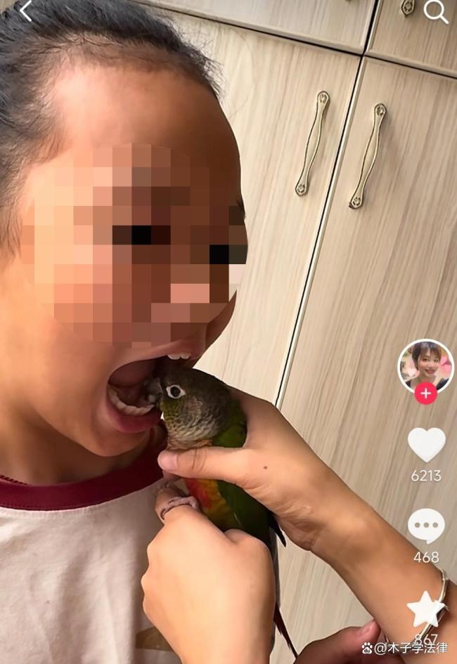 醫(yī)生談鸚鵡為孩子拔牙 或感染鸚鵡熱 健康風(fēng)險引爭議