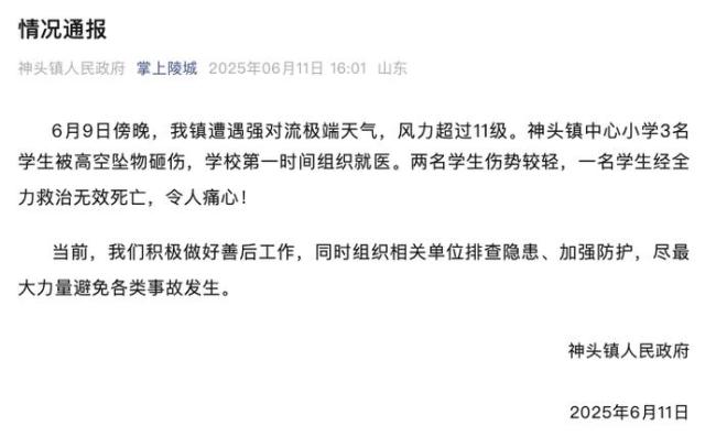 山东一小学光伏板坠落砸中4名学生 强风天气所致