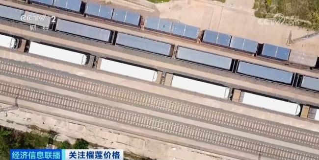 榴莲为何跌到近年来最低价 供应大增运输快