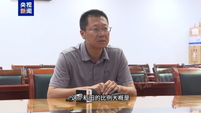 记者追踪安徽蚌埠秧苗成批死亡真相 沟渠水被污染