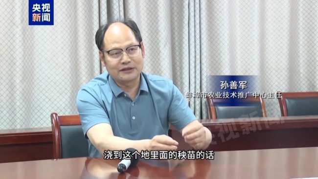 記者追蹤安徽蚌埠秧苗成批死亡真相 溝渠水被污染