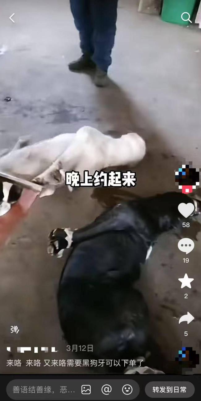 下单就施暴！网络平台惊现“生拆狗牙”视频 引网友愤怒