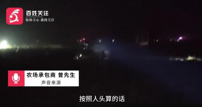 镇政府回应安徽村民哄抢土豆 保障承包者权益成焦点