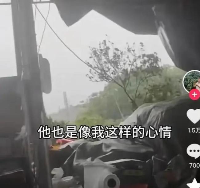 湛江：全红婵老家刮台风，百亩果园损失惨重，全爸：心好痛、受不了！农民看天吃饭太难