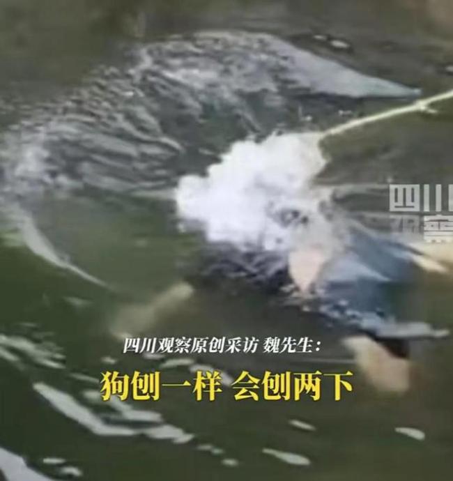 男孩野泳溺水沉底近半小時(shí)身亡 好心人施救未果