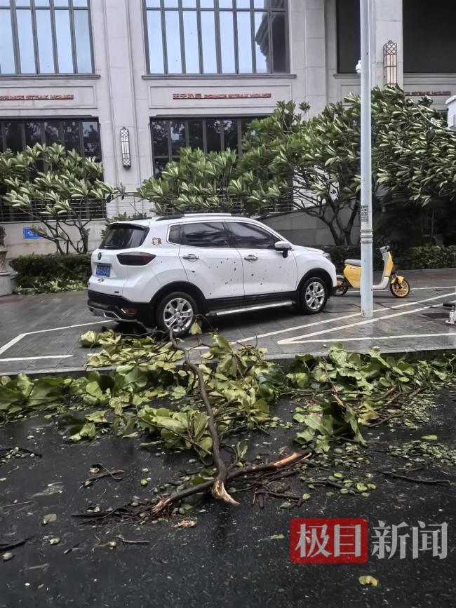 臺(tái)風(fēng)“蝴蝶”的壓迫感,！網(wǎng)友記錄家門口海浪翻涌 三亞啟動(dòng)Ⅱ級(jí)應(yīng)急響應(yīng)