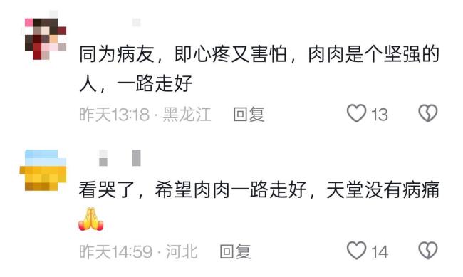 35岁抗癌网红“肉肉”去世 告别疼痛，安息天堂