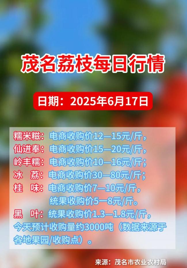 农户因荔枝价低放弃采摘 当地回应：极个别现象