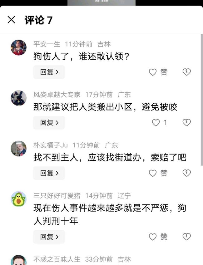 一恶犬流窜多个小区咬伤数人 警方迅速行动成功捕获