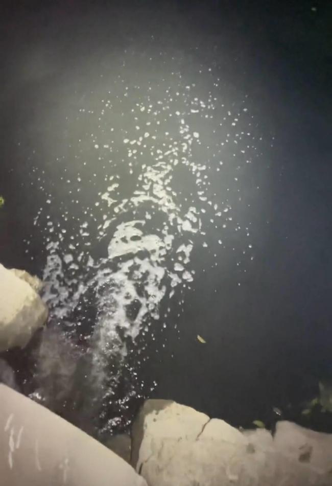 网友称有排污管口深夜往桃源县一河沟排黑水 当地：正在调查