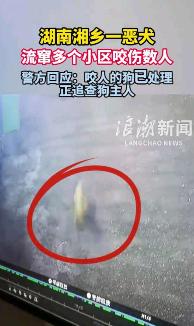 一惡犬流竄多個小區(qū)咬傷數(shù)人 警方迅速行動成功捕獲