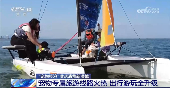 爱宠人士出行游玩全升级 开启“携宠出行”新体验