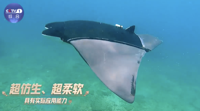 仿生鱼已经进化到这种程度了吗？